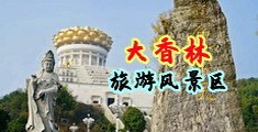 骚视频网站中国浙江-绍兴大香林旅游风景区